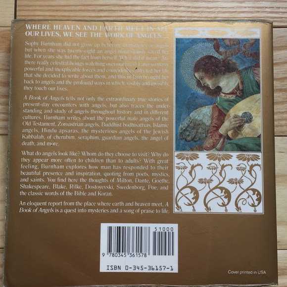 Angels A Book of Angels and Ask Your Angels Book Set - Picture 3 of 8